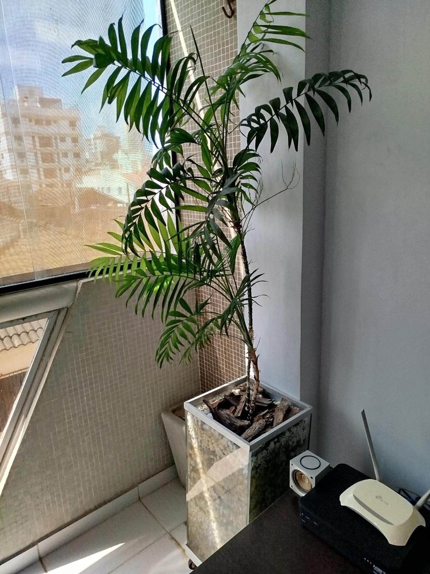 Apartamento IMPECÁVEL na Enseada Guarujá Exterior foto